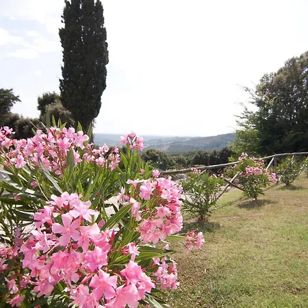 Podere Urlari Apartment Riparbella